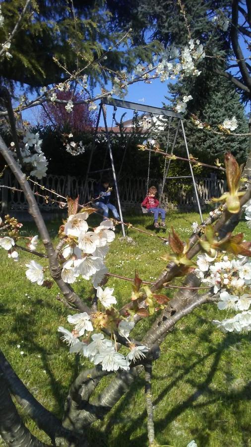 Casa Tea Bed&Breakfast&Home Restaurant Tagliolo Monferrato Exterior foto