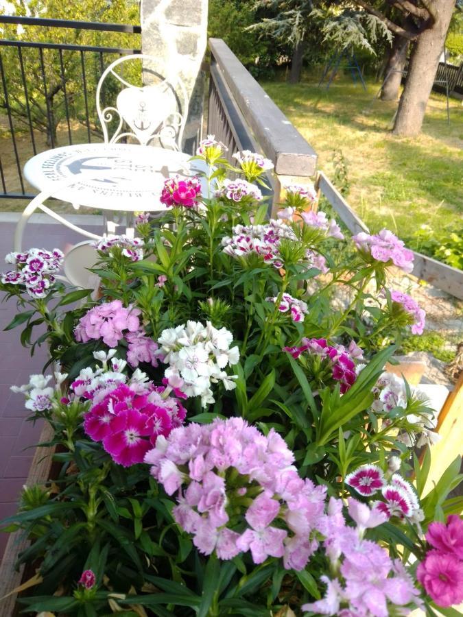 Casa Tea Bed&Breakfast&Home Restaurant Tagliolo Monferrato Exterior foto